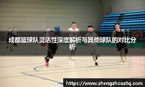 成都篮球队灵活性深度解析与其他球队的对比分析