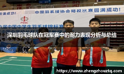 深圳羽毛球队在冠军赛中的耐力表现分析与总结